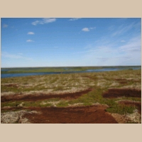 peat_island_top.jpg